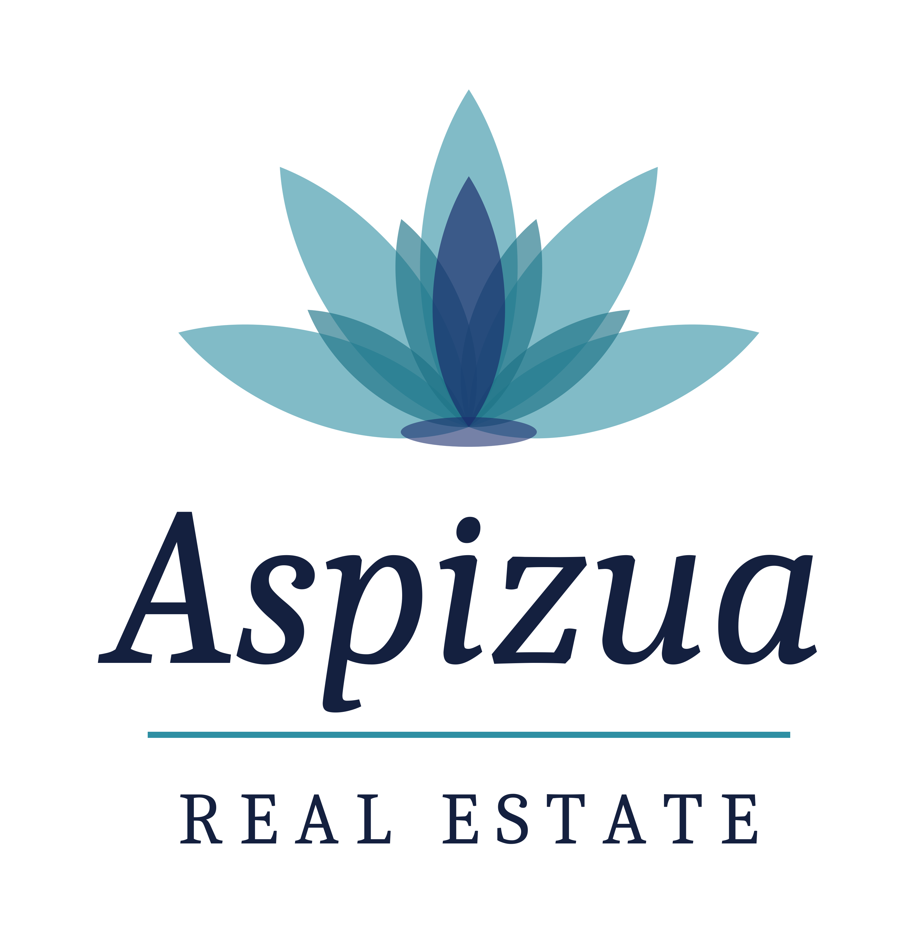 Aspizua Real Estate