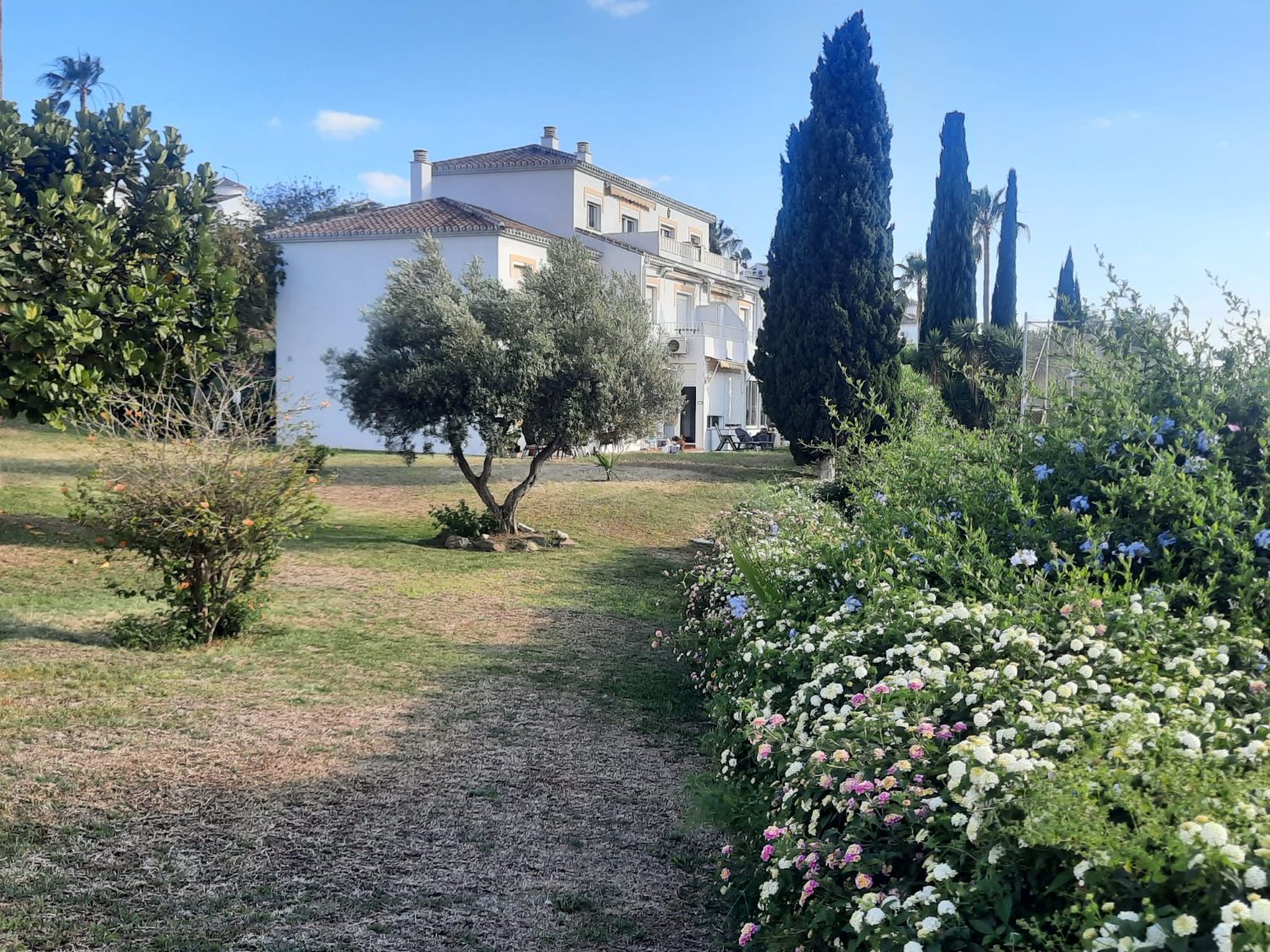 Jardín y vivienda en la zona